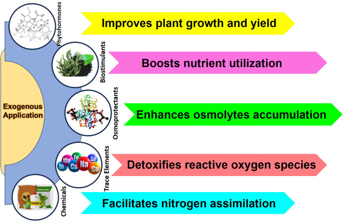 Figure 7