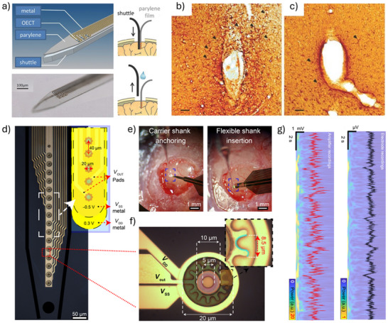 Figure 19