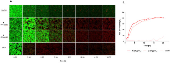 FIGURE 4