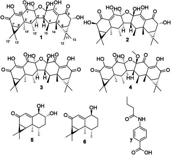 FIGURE 1
