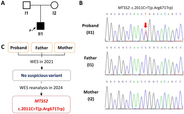 Figure 1