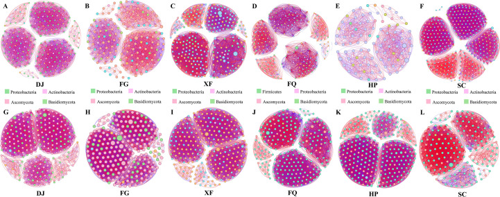 Figure 3