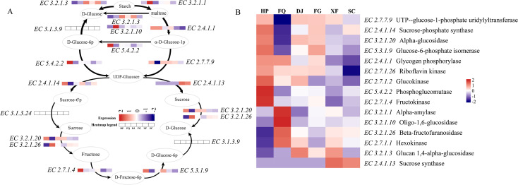 Figure 7