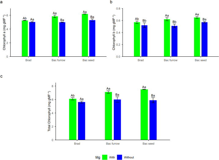 Figure 4