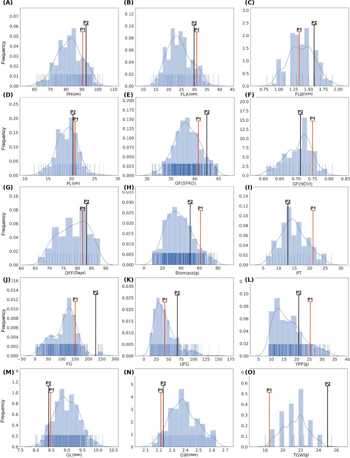Figure 1