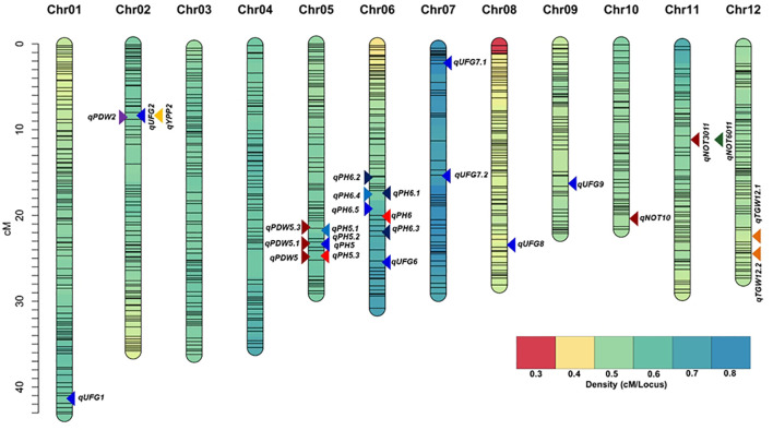 Figure 4