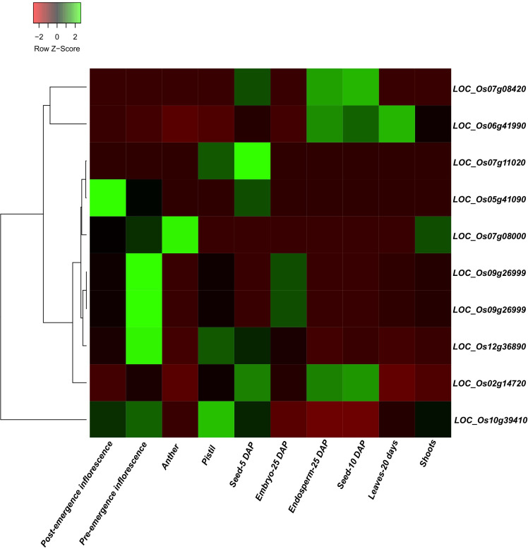 Figure 6