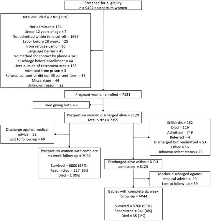 Fig 1