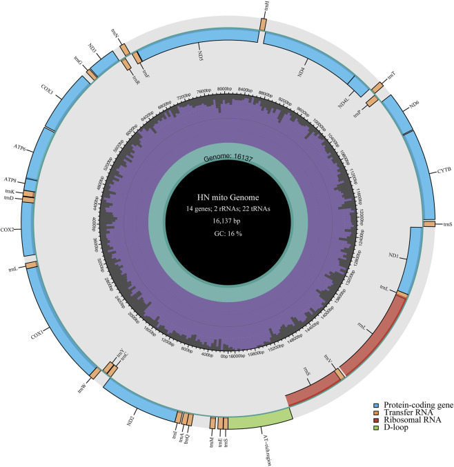 FIGURE 2