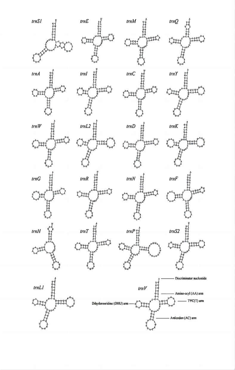 FIGURE 8