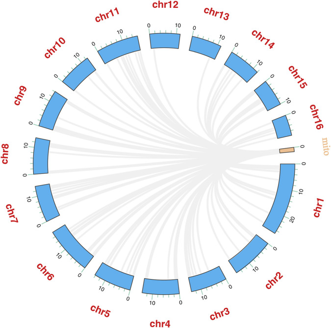 FIGURE 10