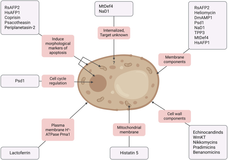 Figure 2