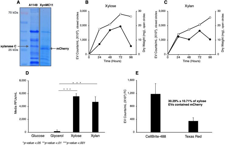 Figure 3