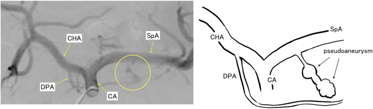Fig. 2