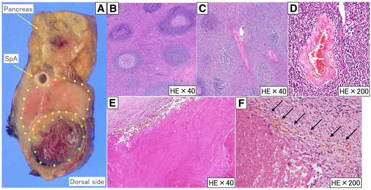 Fig. 7