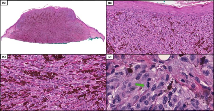 FIGURE 7