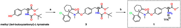 SCHEME 1