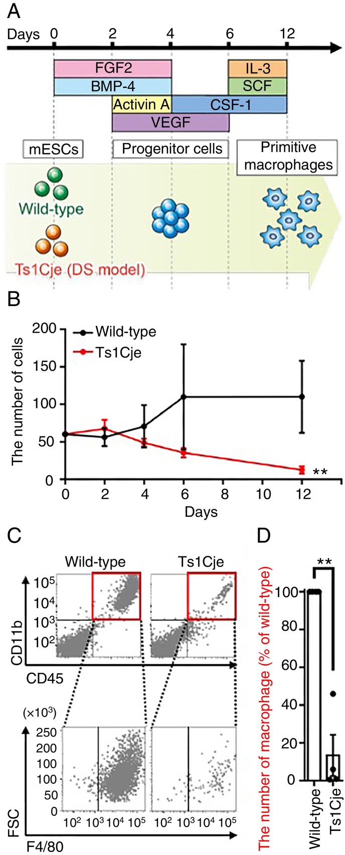 FIGURE 2