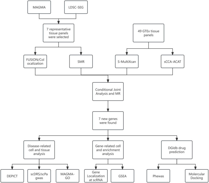Figure 1