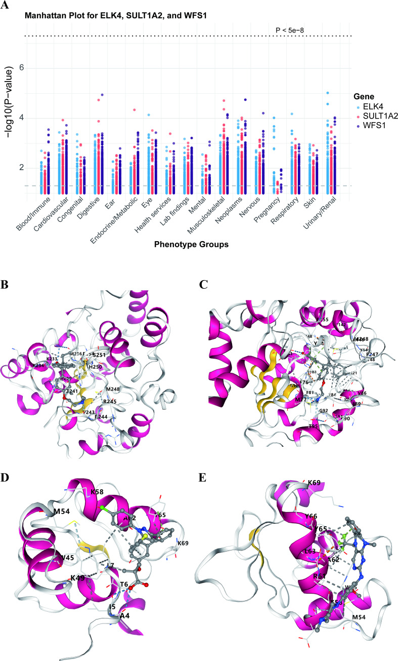Figure 7