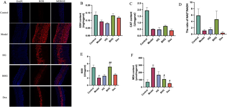 Figure 6