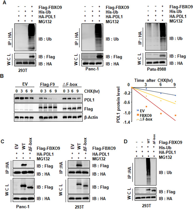 Figure 6