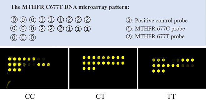 Figure 1