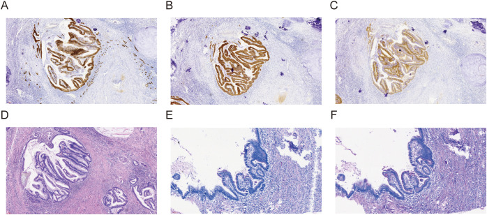 Figure 3