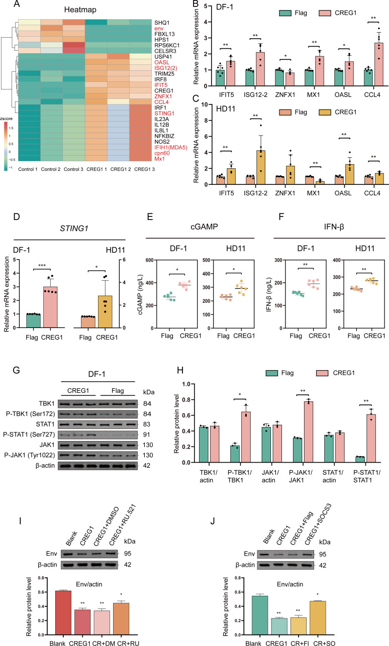 Figure 2