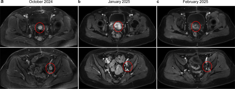 Figure 3