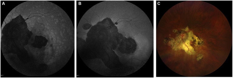 Figure 6
