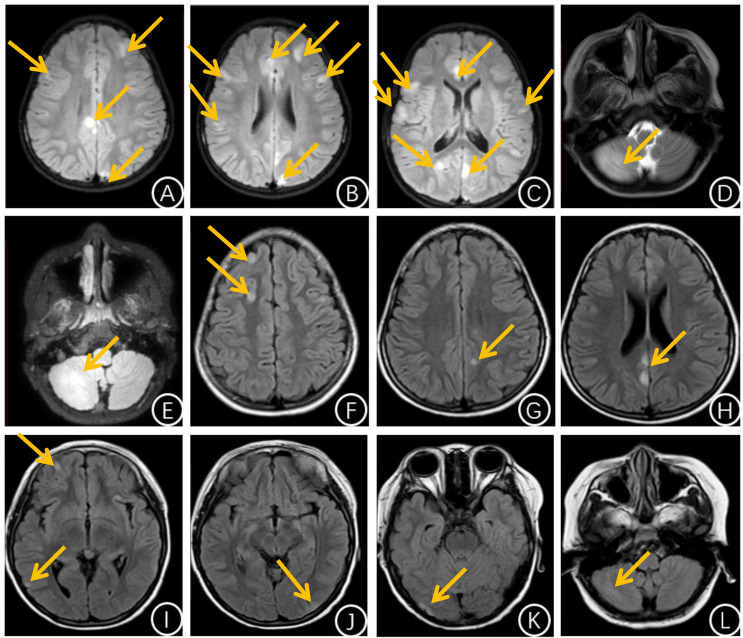 Figure 1