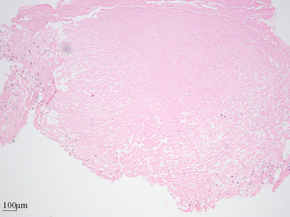 Figure 3