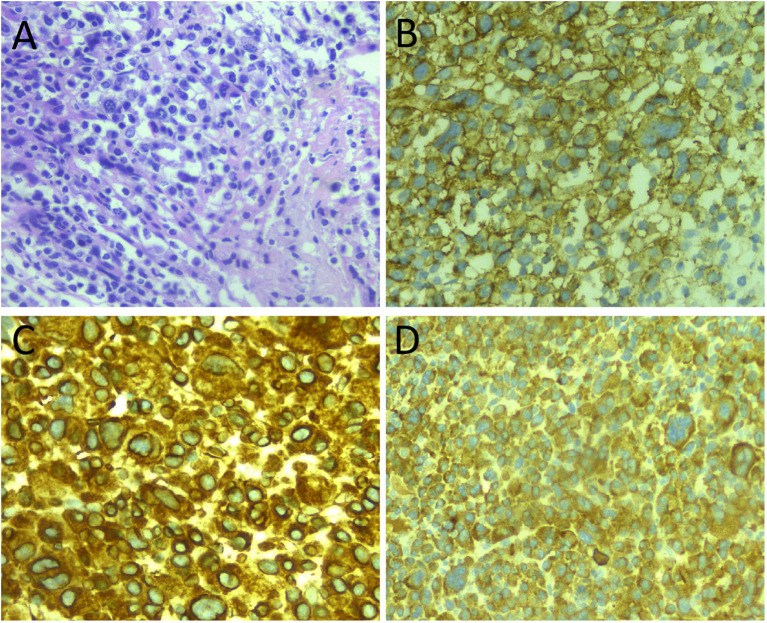 Figure 3