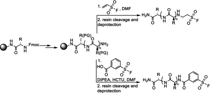 SCHEME 1