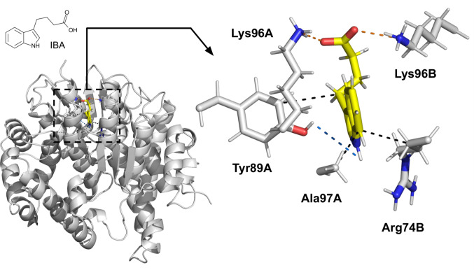 Figure 6