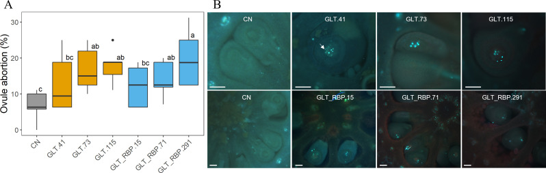 Figure 6