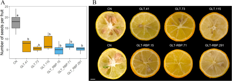 Figure 7