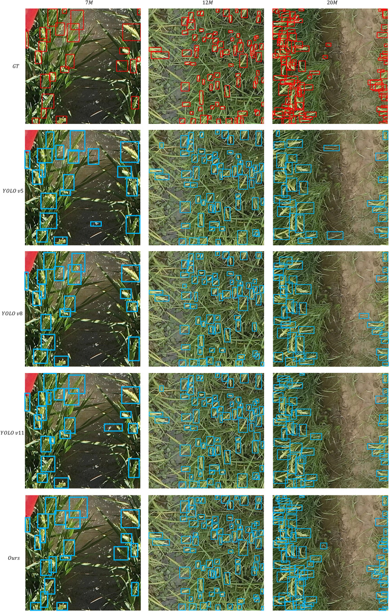 Figure 5
