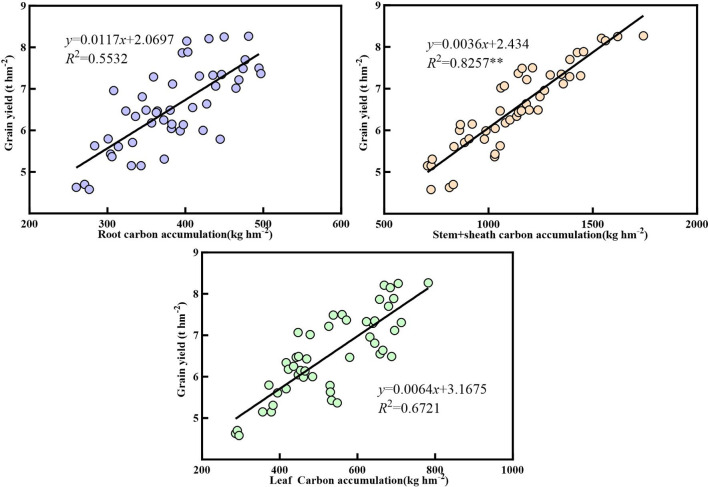 Figure 10