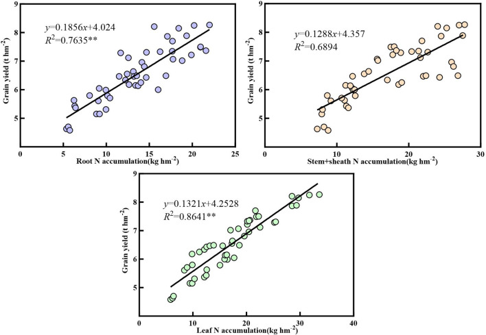 Figure 11