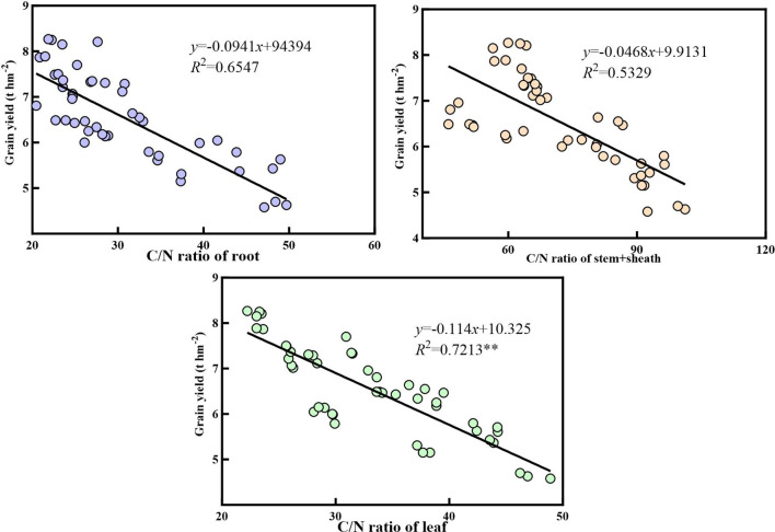 Figure 12
