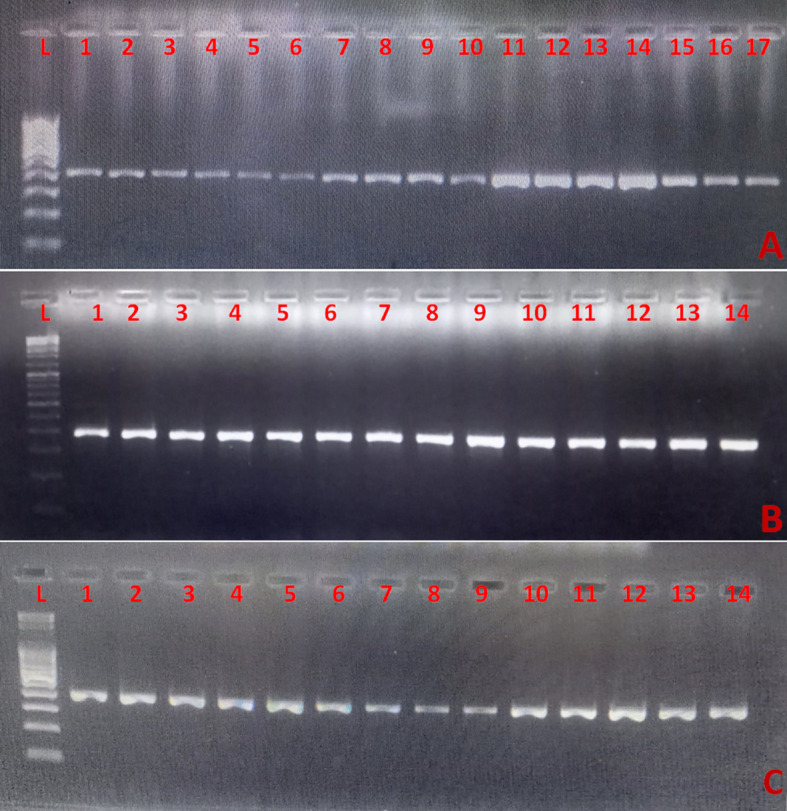 Figure 3