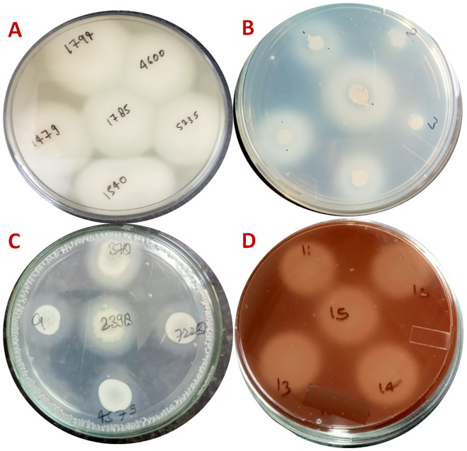 Figure 6