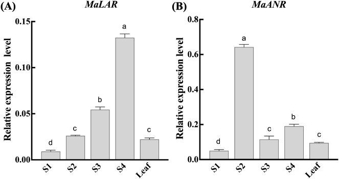 Figure 2