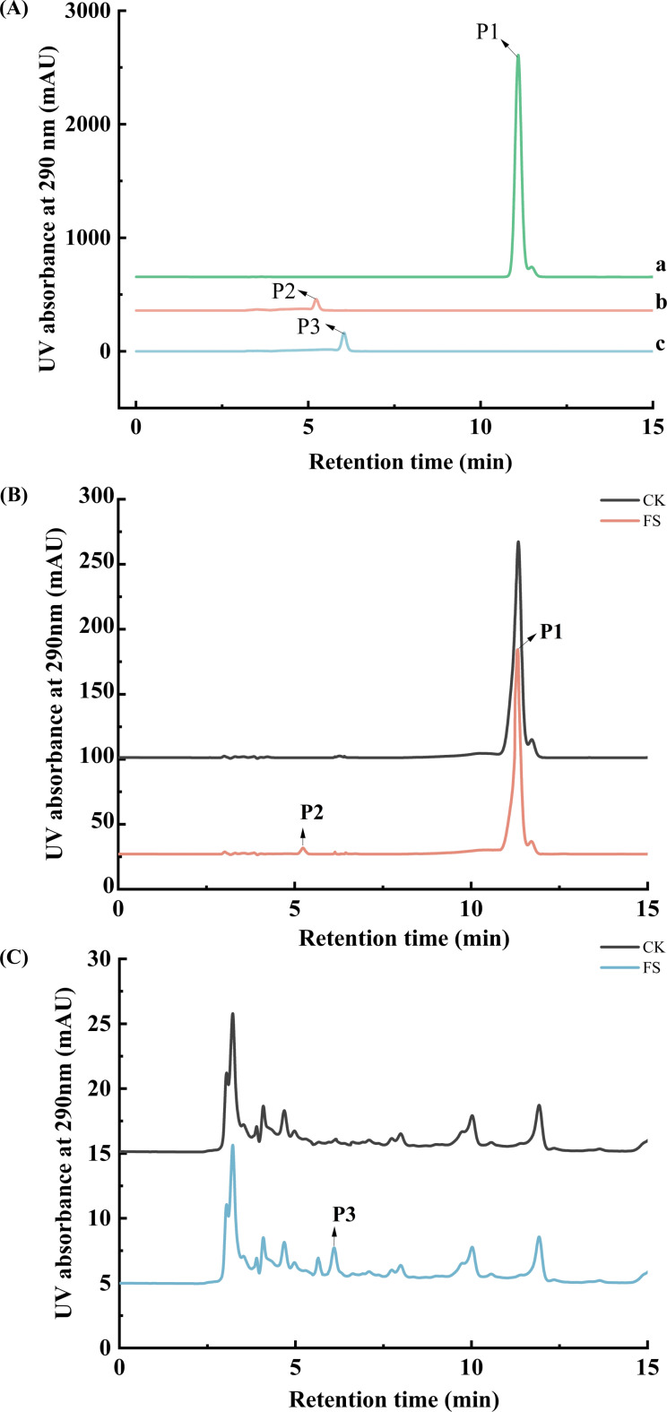 Figure 3