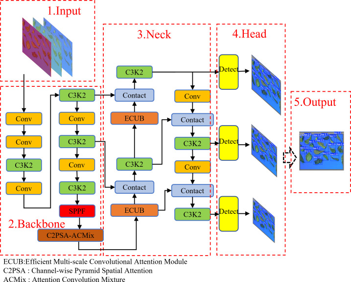 Figure 5