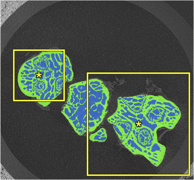 FIGURE 2