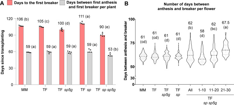Figure 4