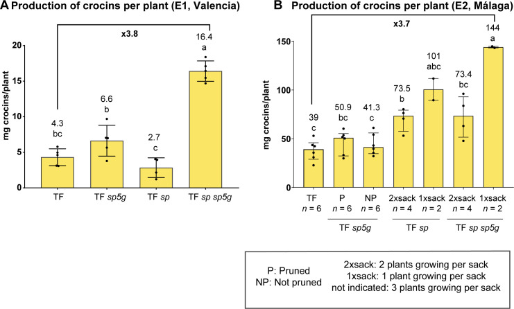 Figure 6